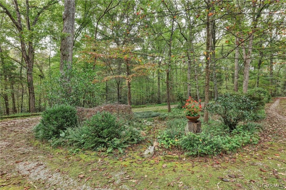 1444 Genito Road Manakin-Sabot, VA 23103 - Photo 42 of 47 a view of a forest that has a tree