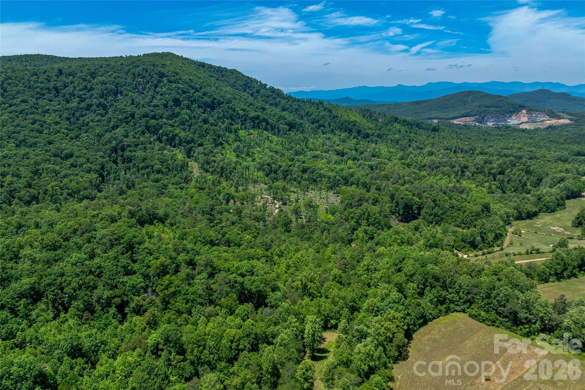180 Fat Wall Road Marion, NC 28752 - Photo 31 of 32 a view of a city with lush green forest