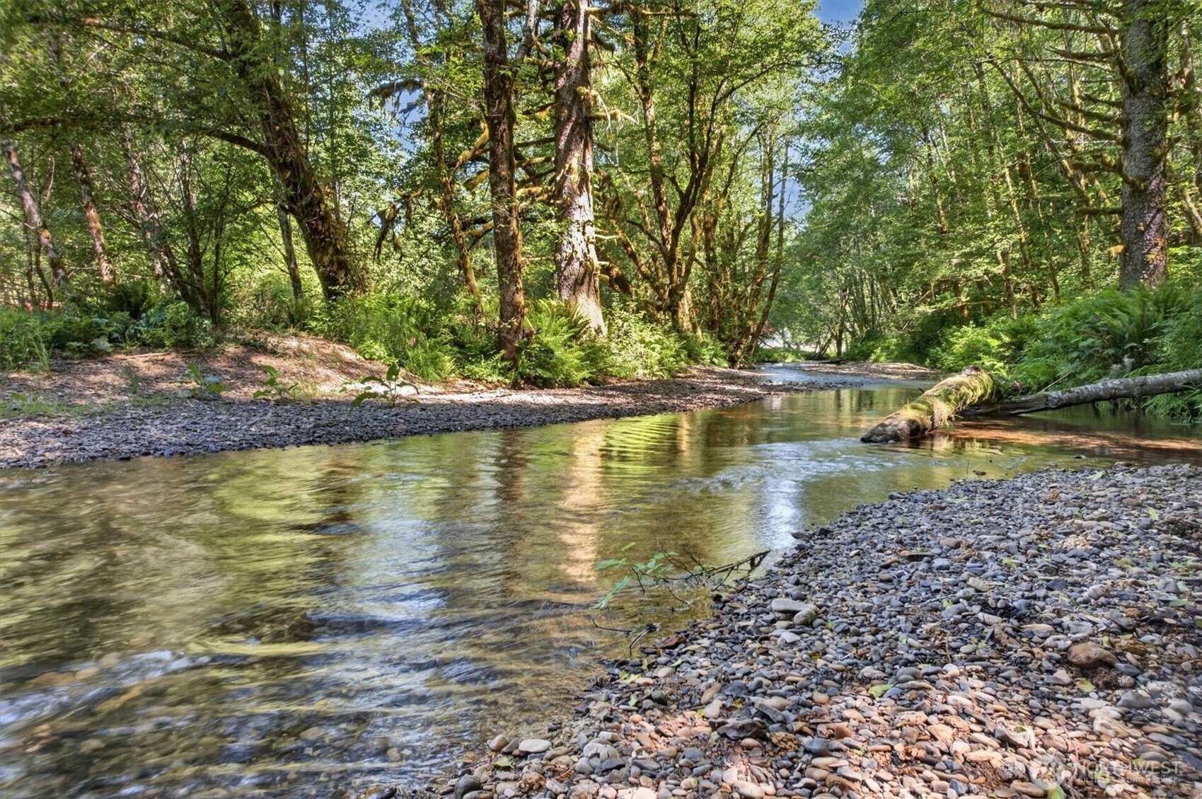 344 Hull Creek Road Grays River, WA 98621 - Photo 3 of 29