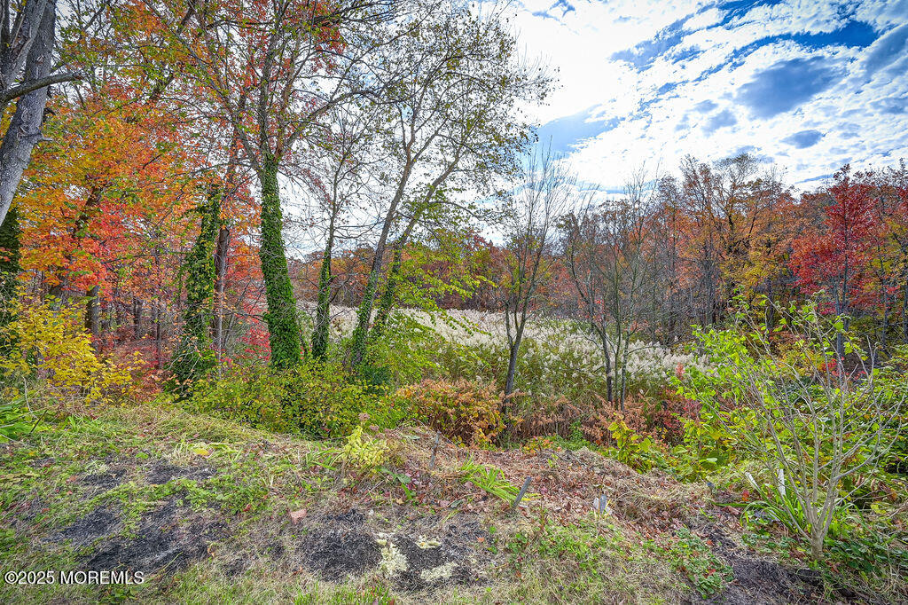 940 Grove Avenue Old Bridge, NJ 08879 - Photo 42 of 48