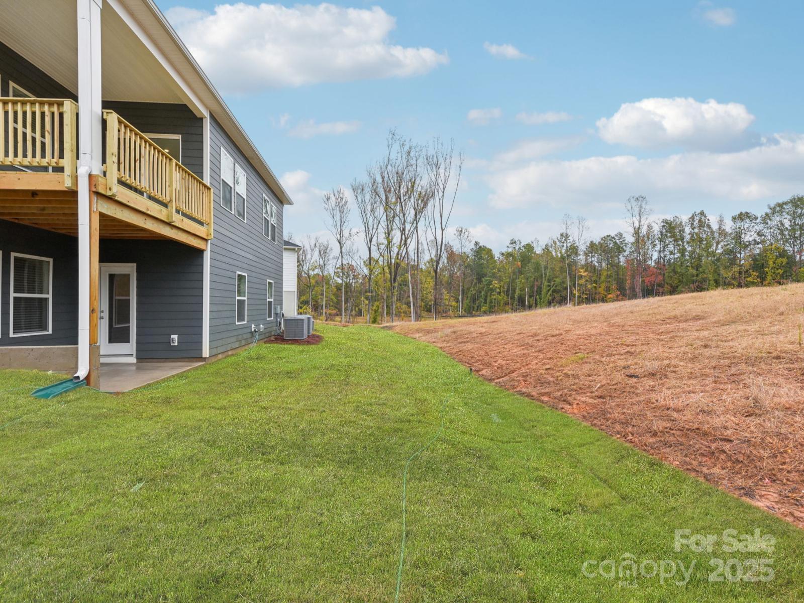 712 Palmer Pendleton Way York, SC 29745 - Photo 32 of 36 a backyard of a house with lots of green space