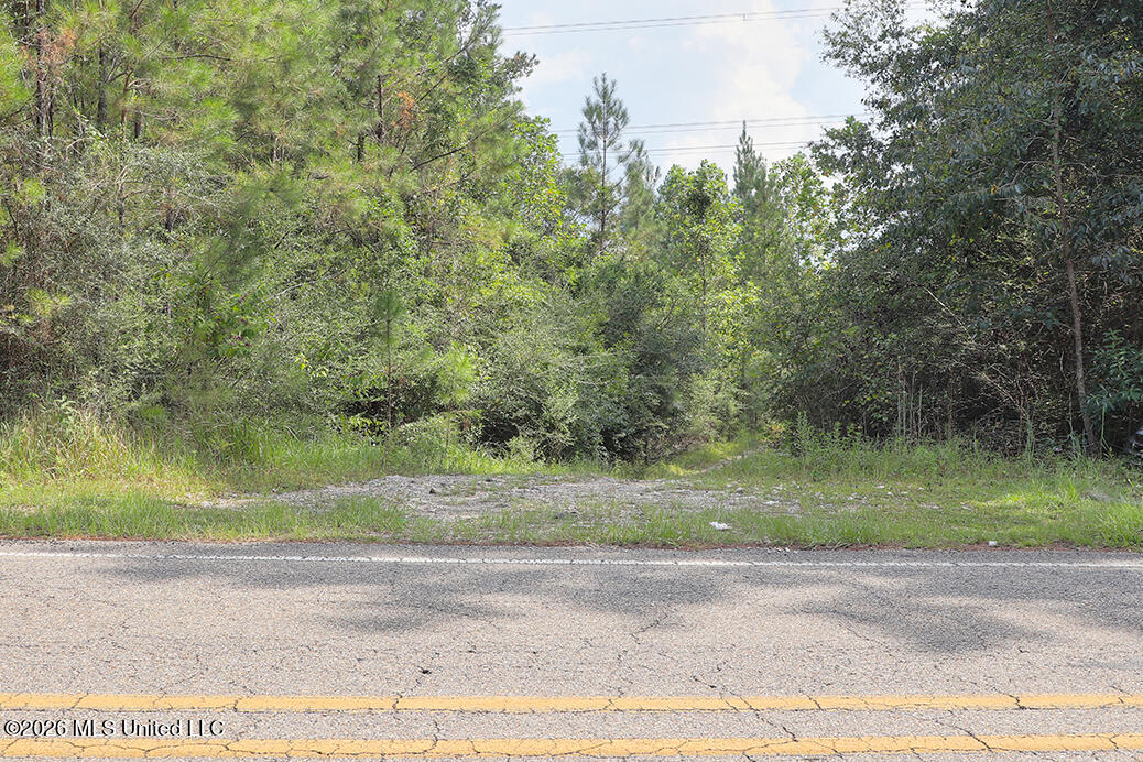 14481 East Wortham Road Saucier, MS 39574 - Photo 9 of 9 Driveway