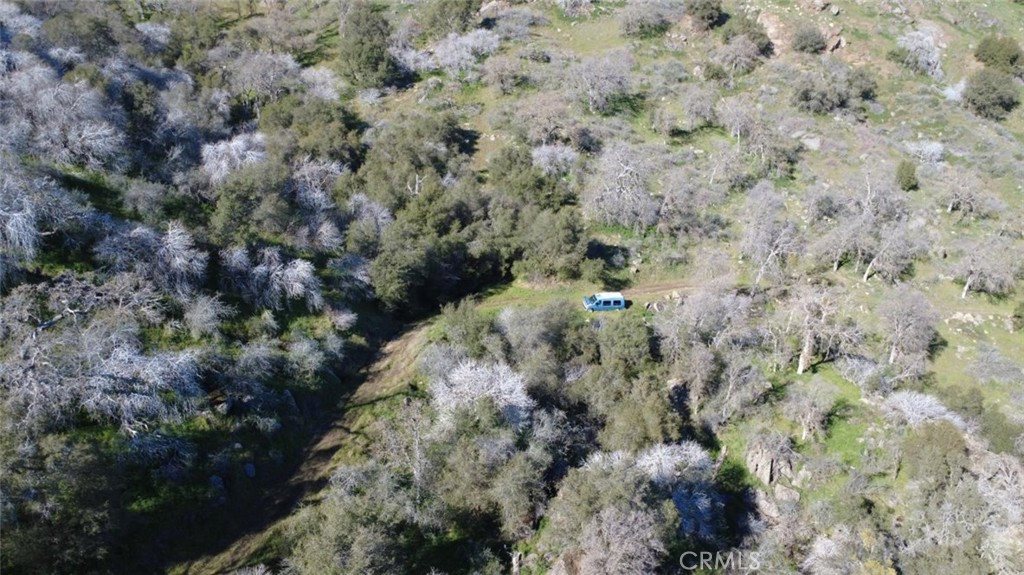 0 Ruth Hill Road Squaw Valley, CA 93675 - Photo 27 of 32