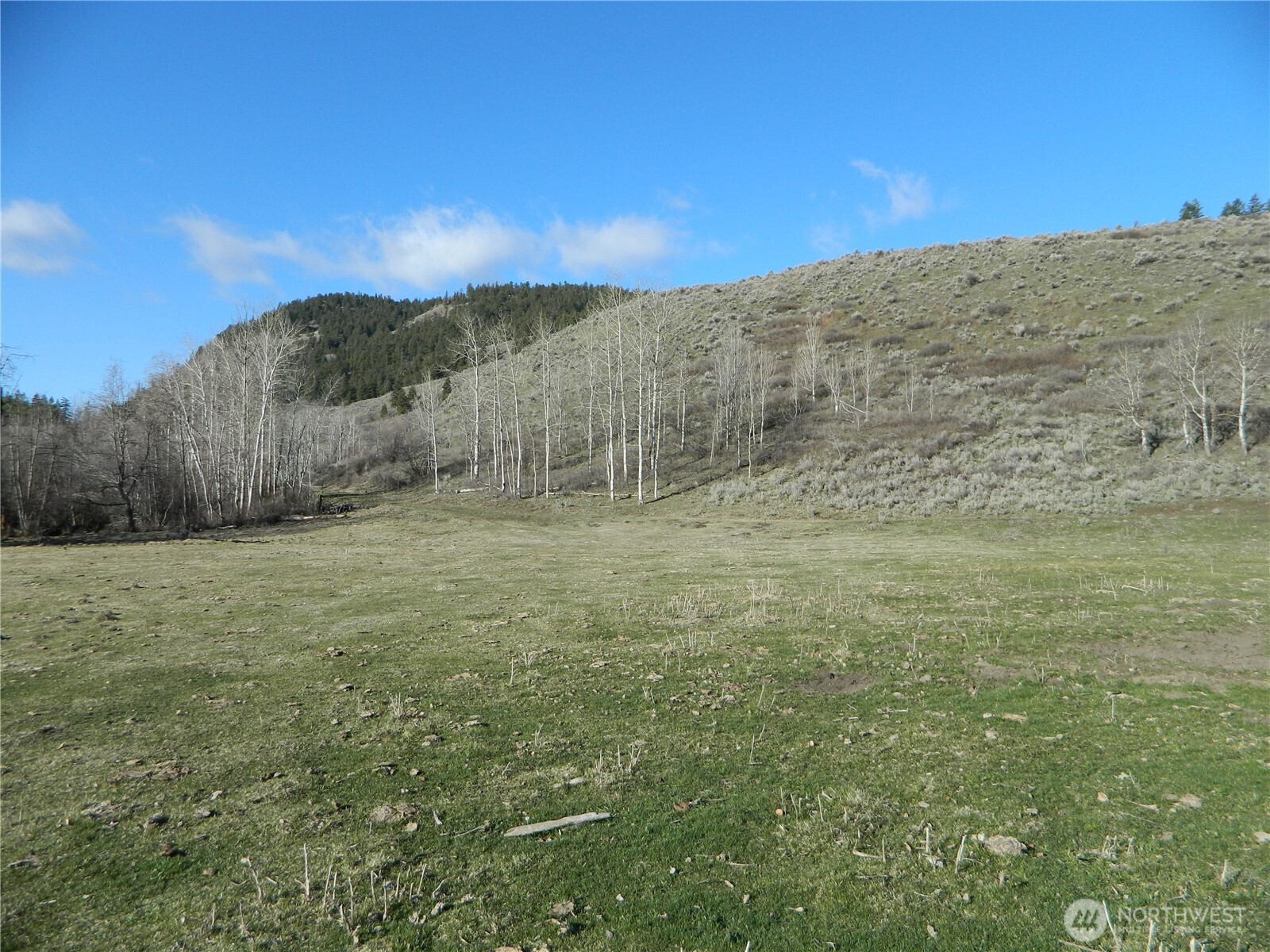 a view of a field with an trees