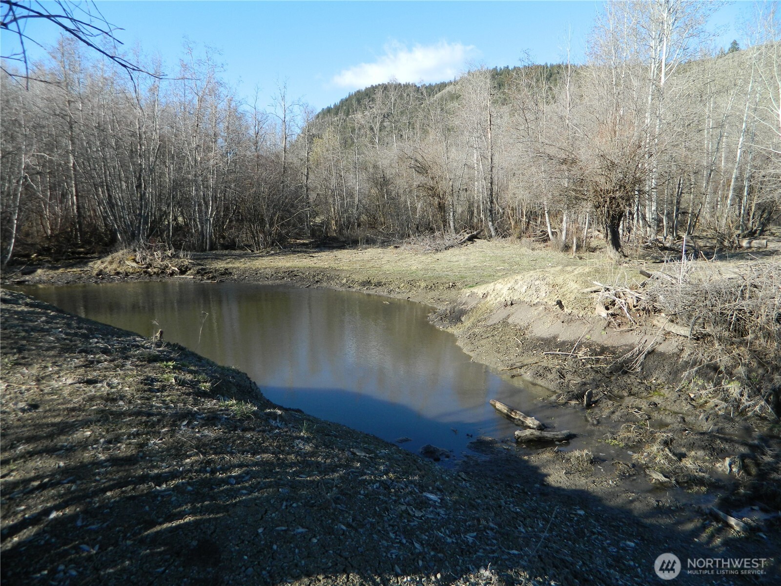 111 Tbd Ellemeham Mountain Ridge Road Loomis, WA 98827 - Photo 15 of 17 a view of a lake with a mountain