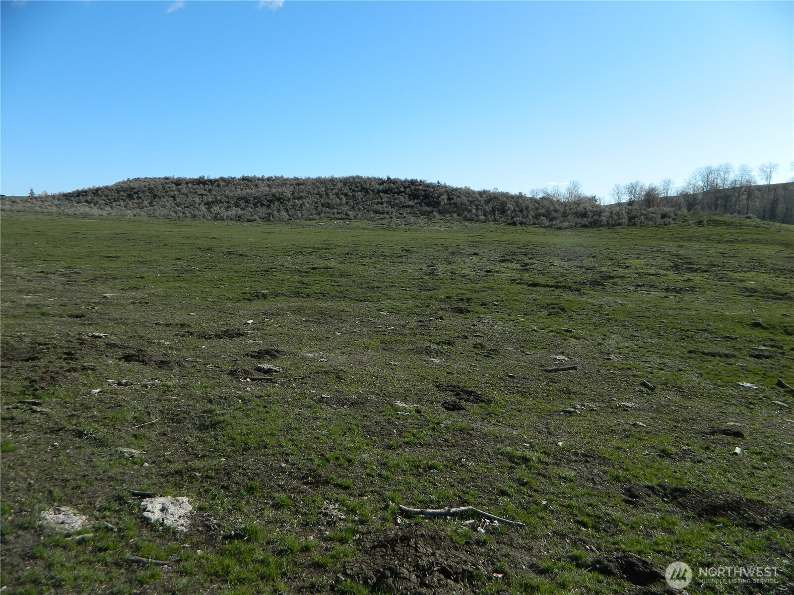 111 Tbd Ellemeham Mountain Ridge Road Loomis, WA 98827 - Photo 2 of 17 a view of a field with an ocean view