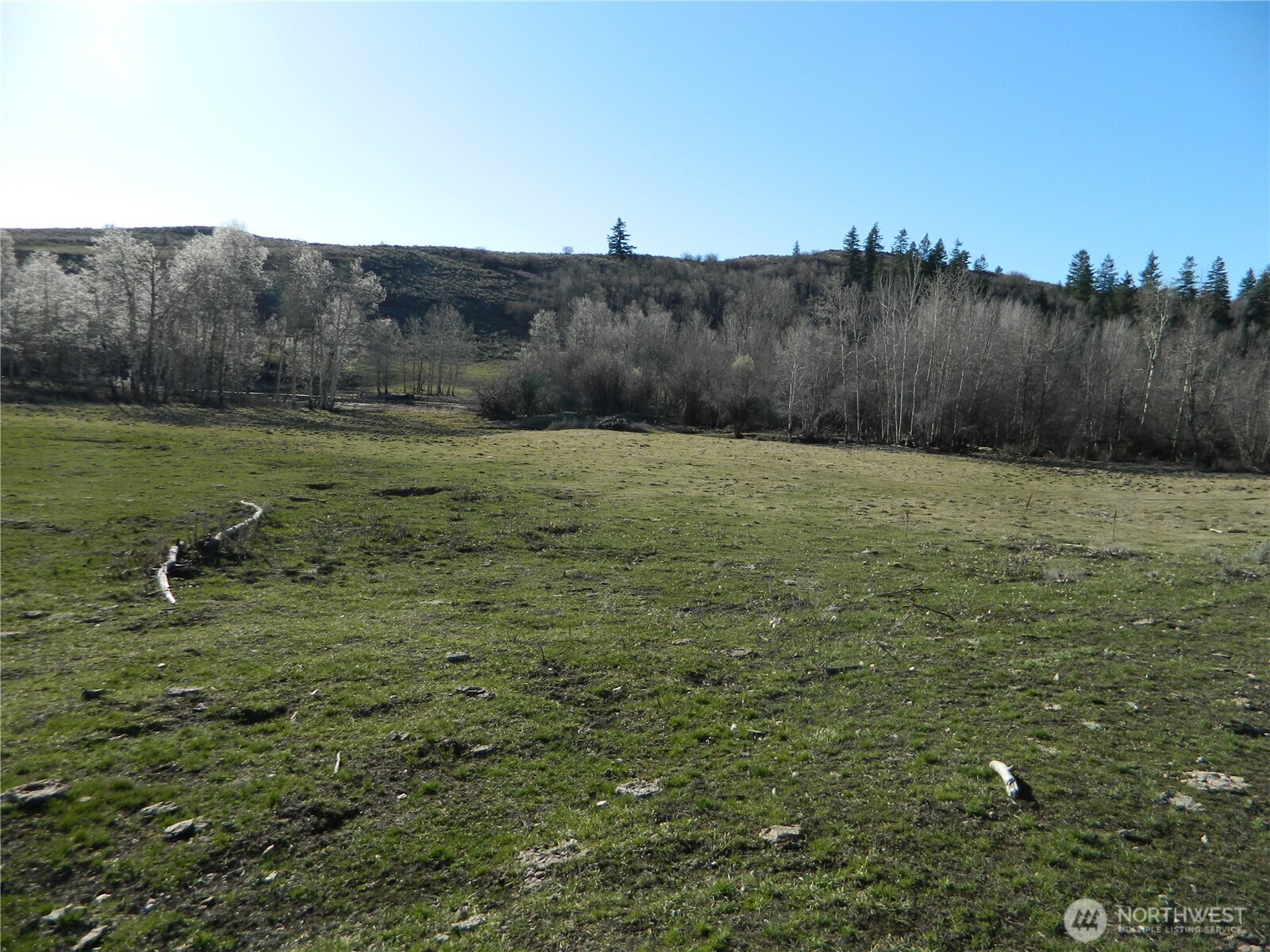111 Tbd Ellemeham Mountain Ridge Road Loomis, WA 98827 - Photo 3 of 17 a view of a field