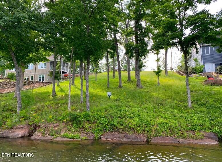 644 Waterfront Way Ten Mile, TN 37880 - Photo 5 of 6 644 Waterfront Way MLS 5_5906