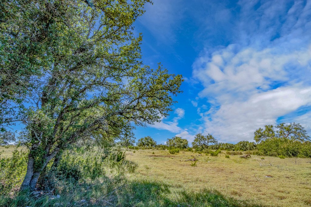 13 Bonita View Ranch Road Harper, TX 78631 - Photo 4 of 10