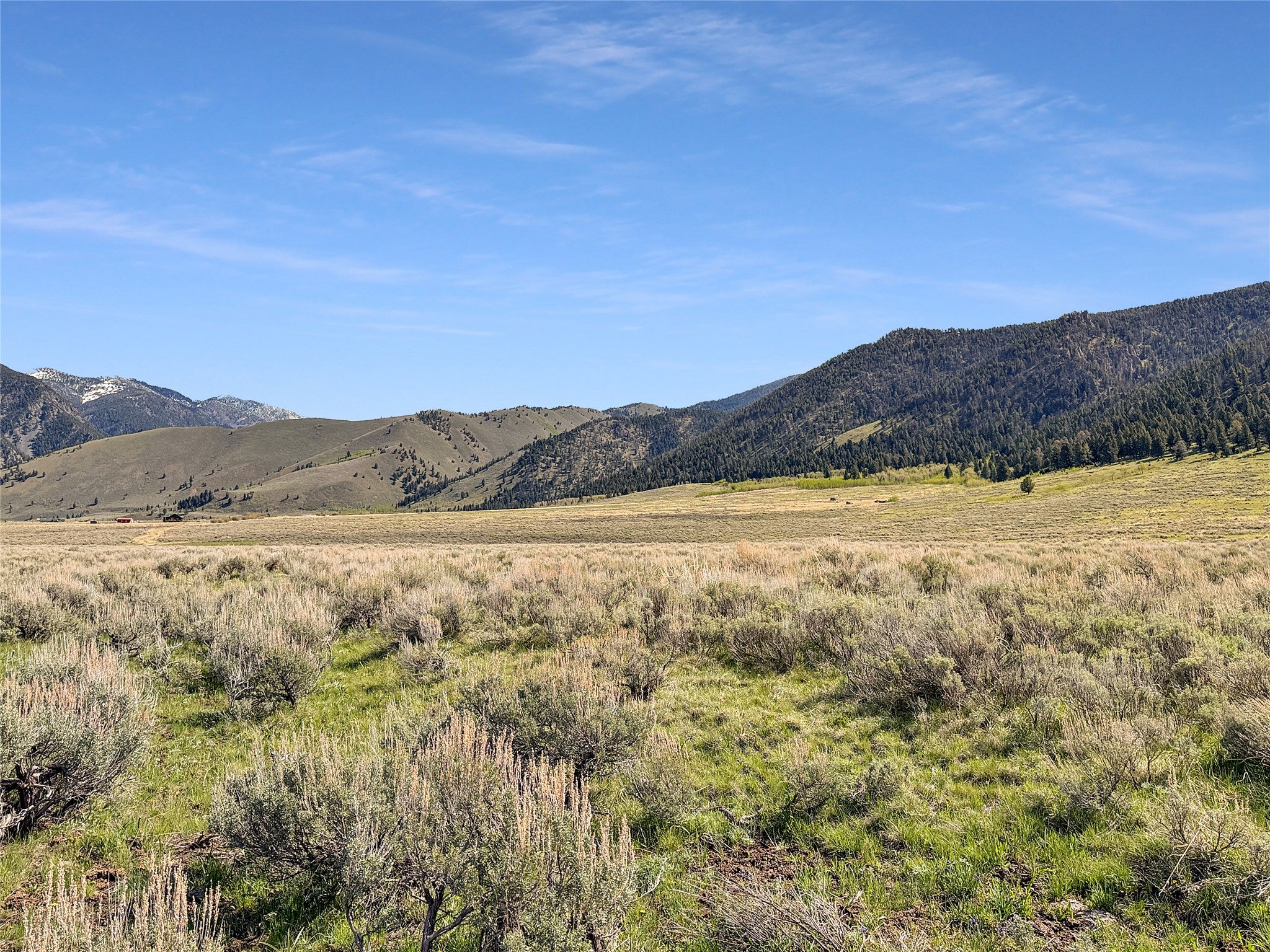 Lot 2-4a Continental Divide Road Cameron, MT 59720 - Photo 6 of 31 Gallery Image 6