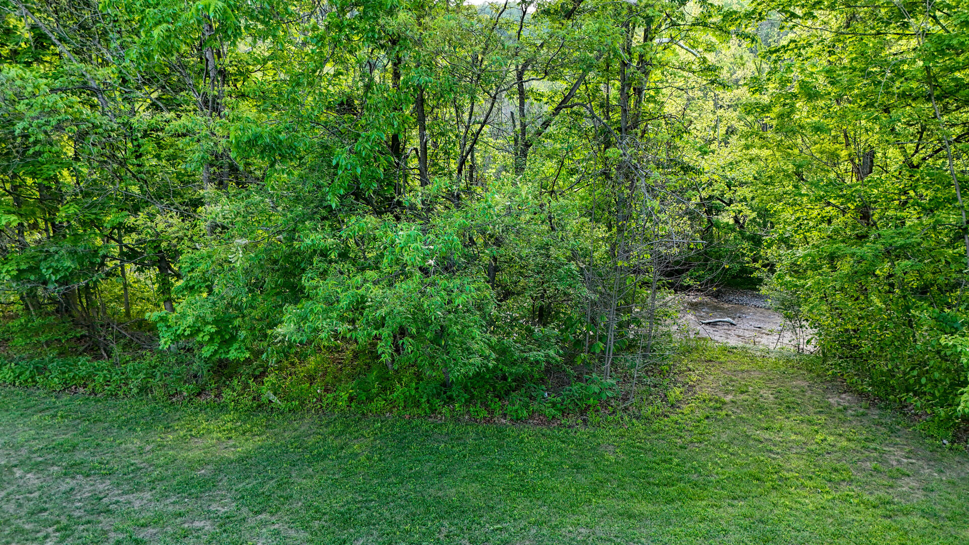8796 Roanoke Road Elliston, VA 24087 - Photo 34 of 40 a view of a lush green space