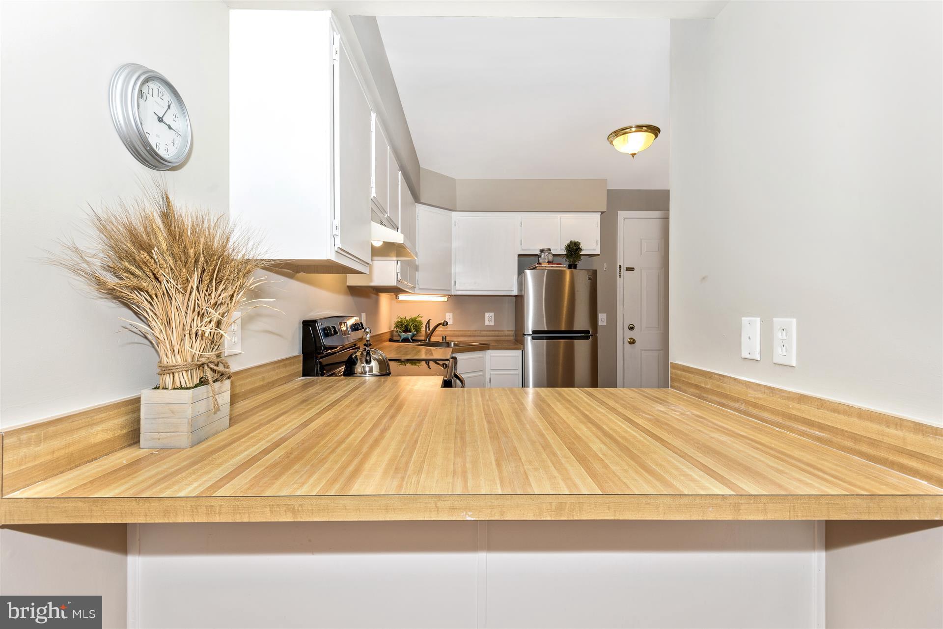 11920 Liberty Road, Unit 207A Libertytown, MD 21762 - Photo 10 of 30 Kitchen
