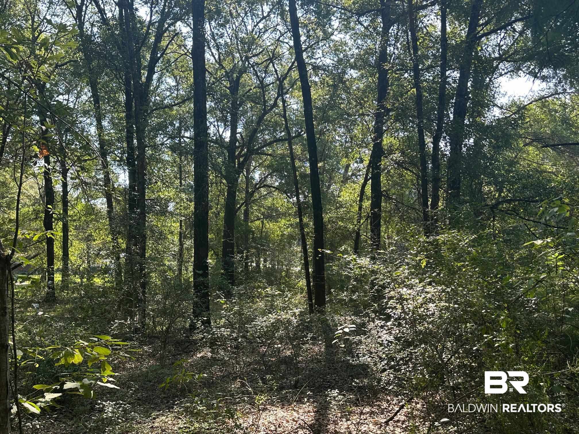 0 Danner Road East Wilmer, AL 36587 - Photo 5 of 13 View of tree filled area