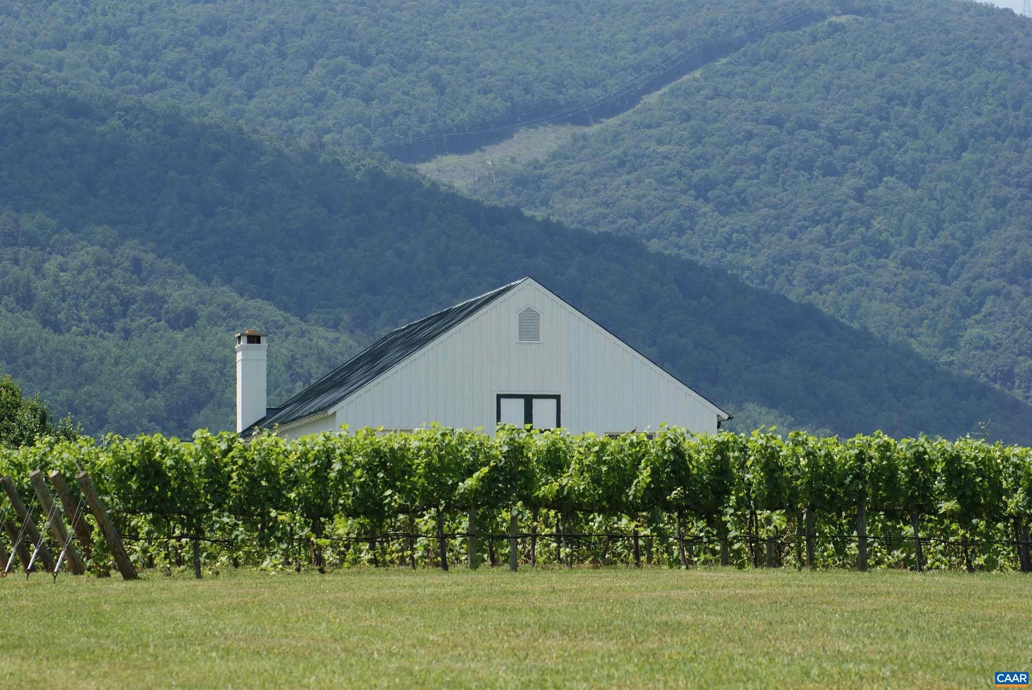 395 Burchs Creek Road Crozet, VA 22932 - Photo 28 of 31