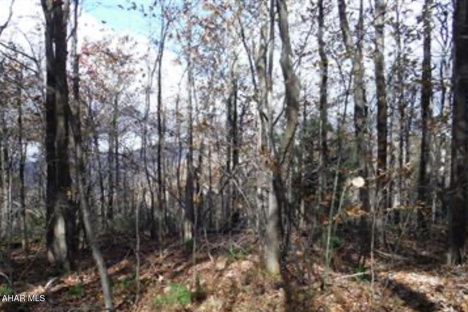 0 Poplar Run Road Duncansville, PA 16635 - Photo 1 of 1