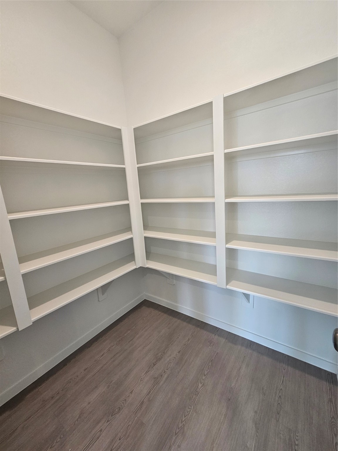 7823 Evening Emerald Drive Rosharon, TX 77583 - Photo 3 of 8 a view of walk in closet with empty racks