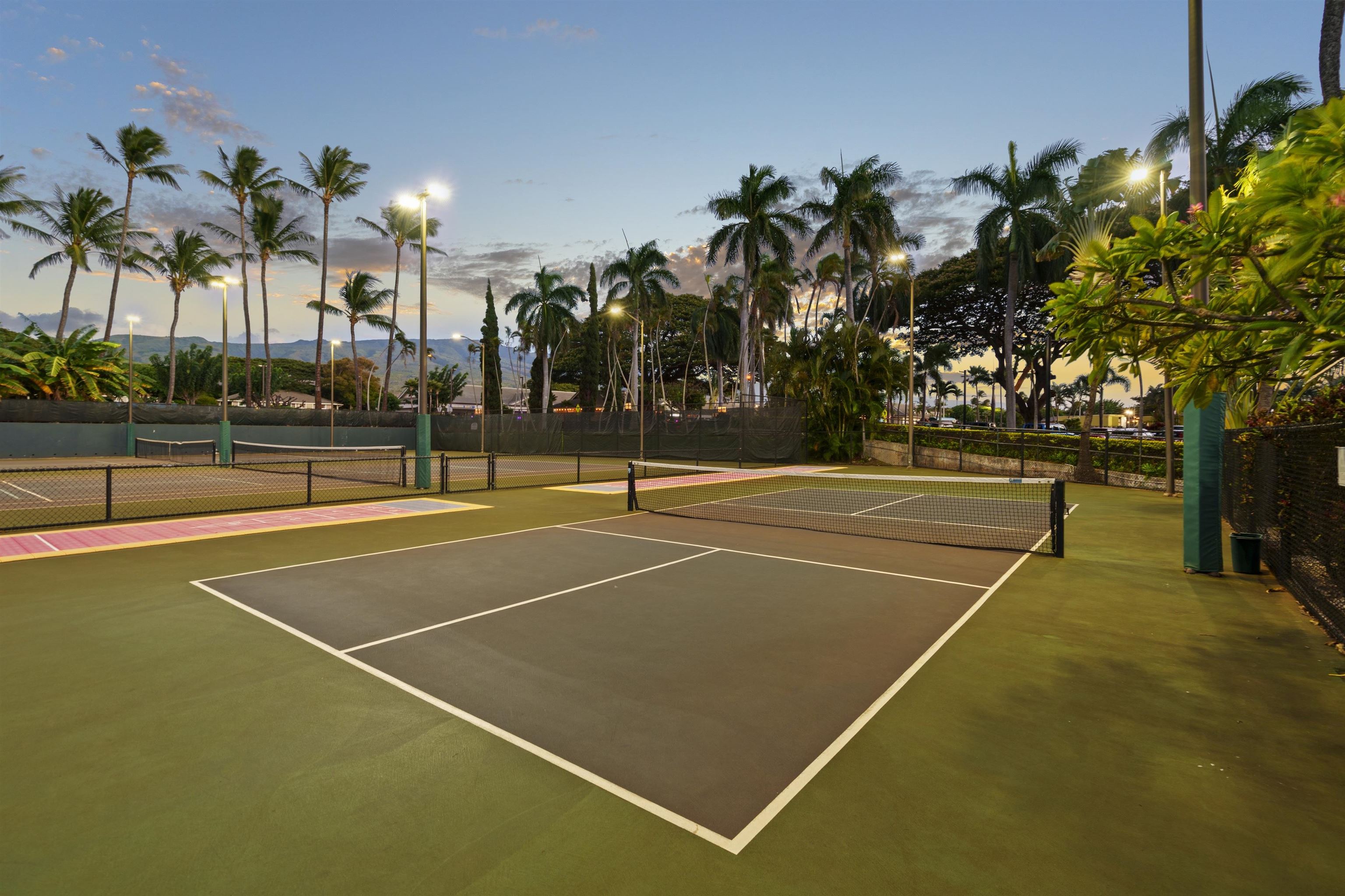 3445 Lower Honoapiilani Road, Unit 204 Lahaina, HI 96761 - Photo 34 of 43