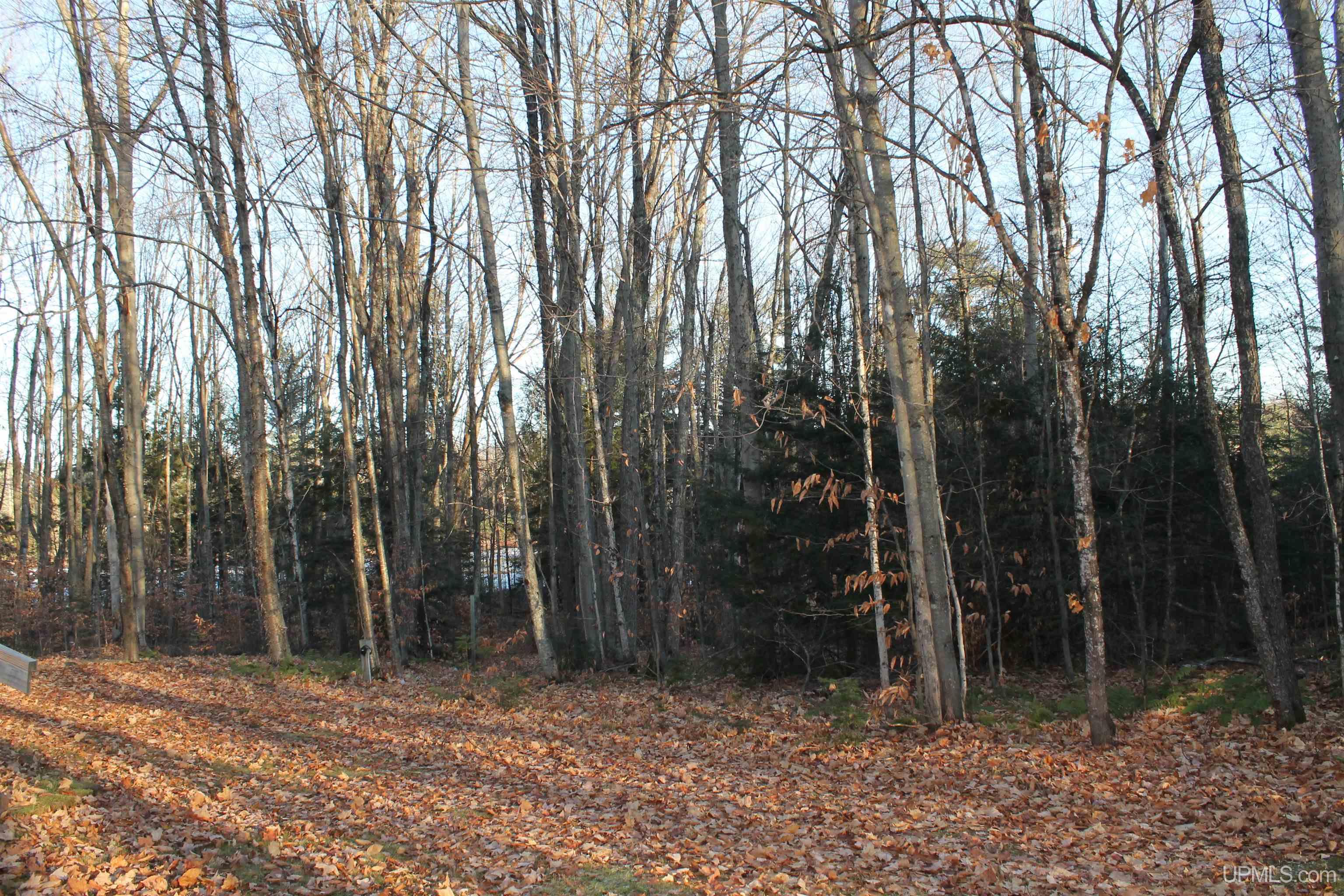7042 East County Road 440 Road Wetmore, MI 49895 - Photo 77 of 78