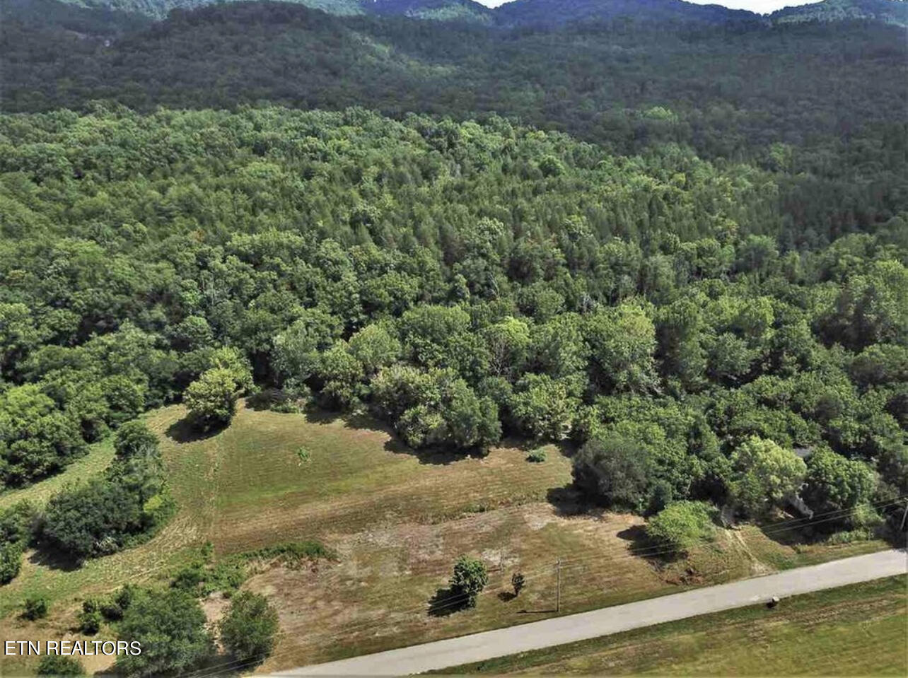 297 Bryan Road Rutledge, TN 37861 - Photo 12 of 13 IMG_3568