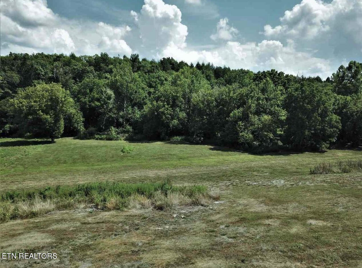 297 Bryan Road Rutledge, TN 37861 - Photo 2 of 13 IMG_3578