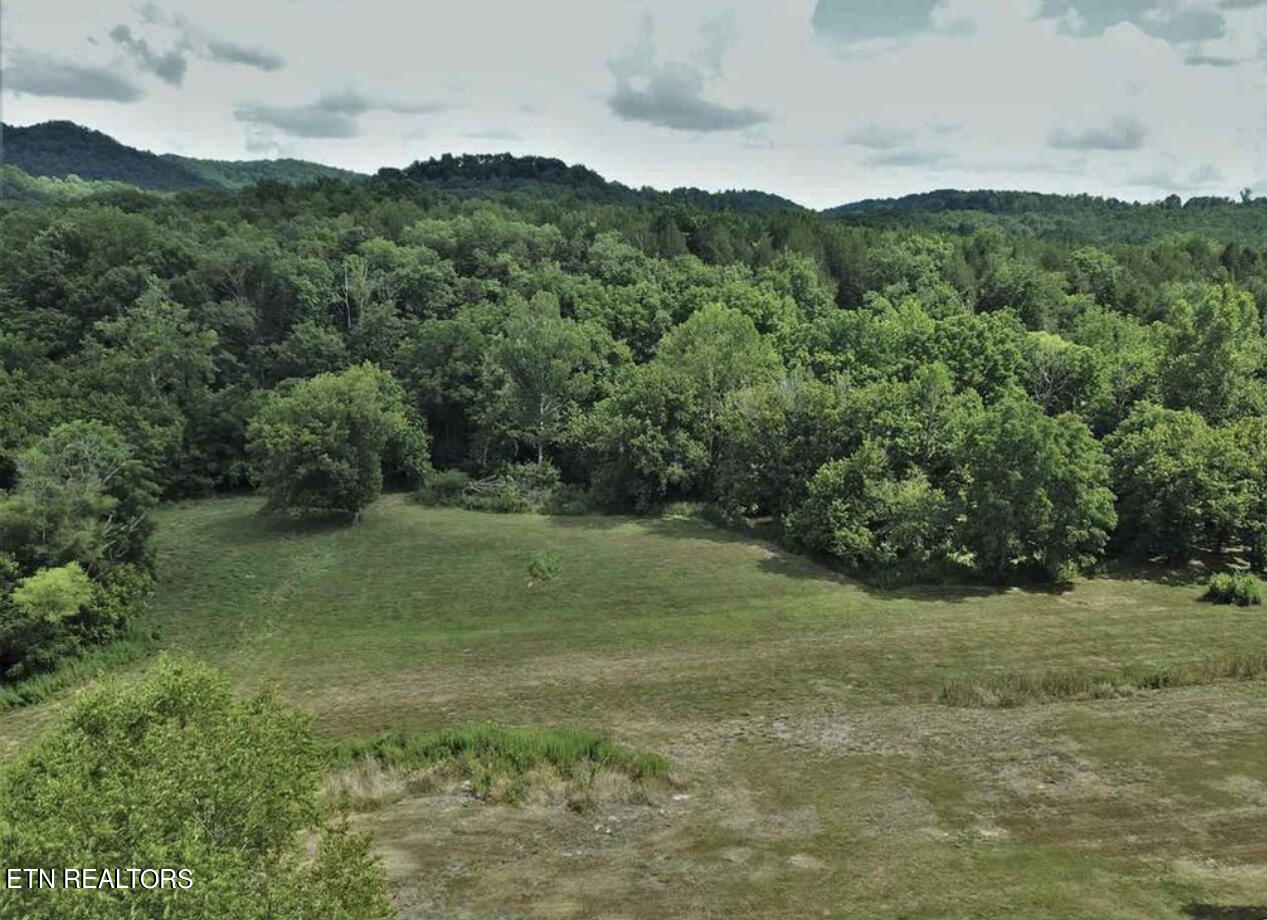 297 Bryan Road Rutledge, TN 37861 - Photo 4 of 13 IMG_3574