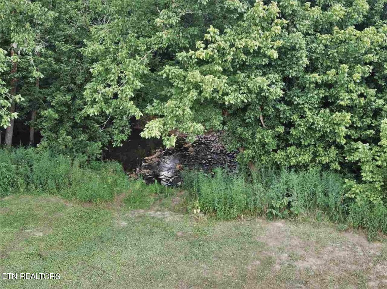 297 Bryan Road Rutledge, TN 37861 - Photo 5 of 13 IMG_3576