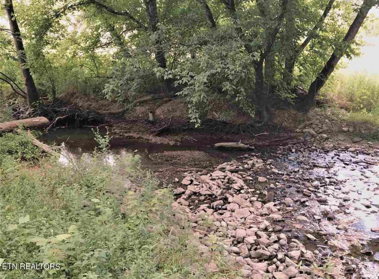 297 Bryan Road Rutledge, TN 37861 - Photo 7 of 13 IMG_3573