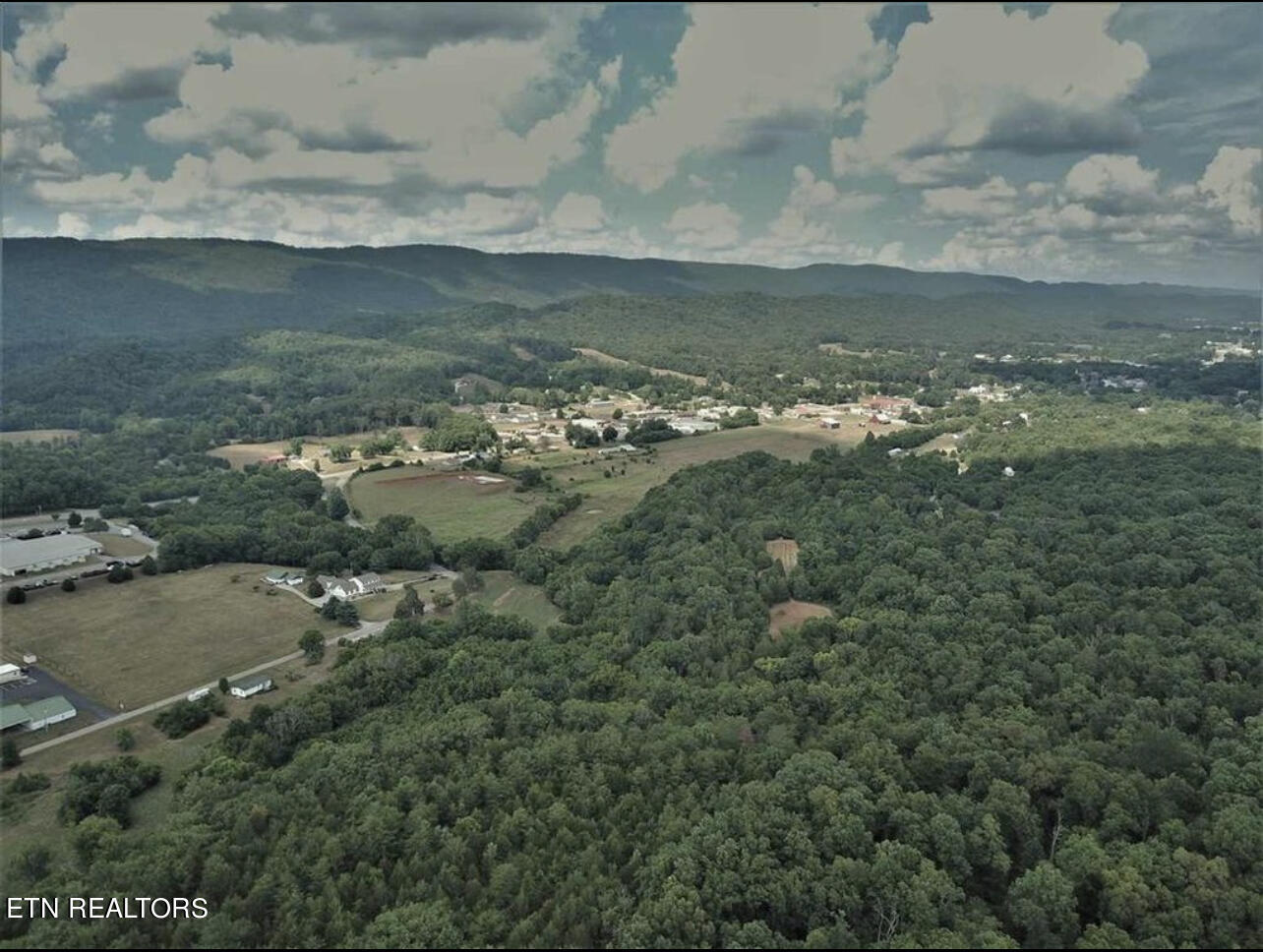297 Bryan Road Rutledge, TN 37861 - Photo 9 of 13 IMG_3570