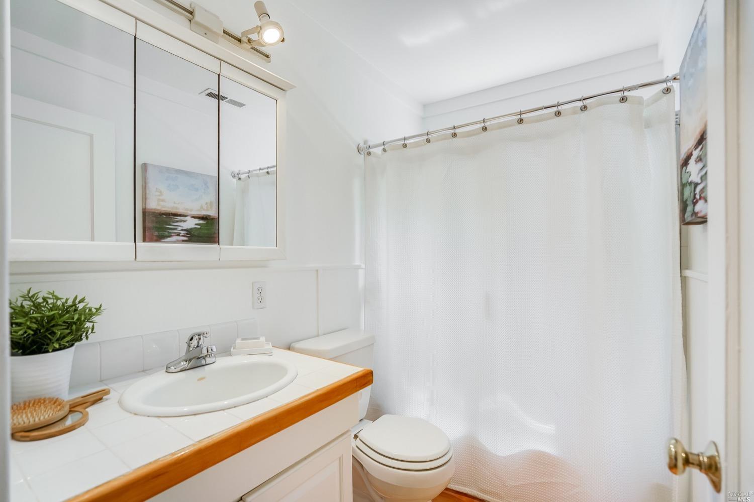 78 Nelson Avenue Mill Valley, CA 94941 - Photo 13 of 21 a bathroom with a sink toilet and shower