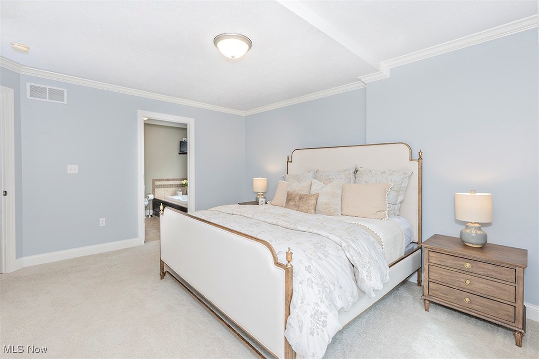 16269 Snyder Road Chagrin Falls, OH 44022 - Photo 21 of 48 Gallery Image 21