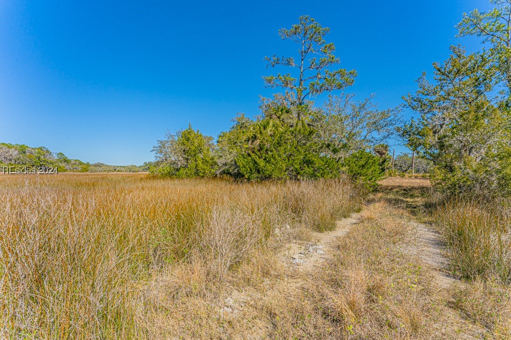103 Palmetto Bluff Road Bluffton, SC 29910 - Photo 22 of 57 View of marsh. Path to island.