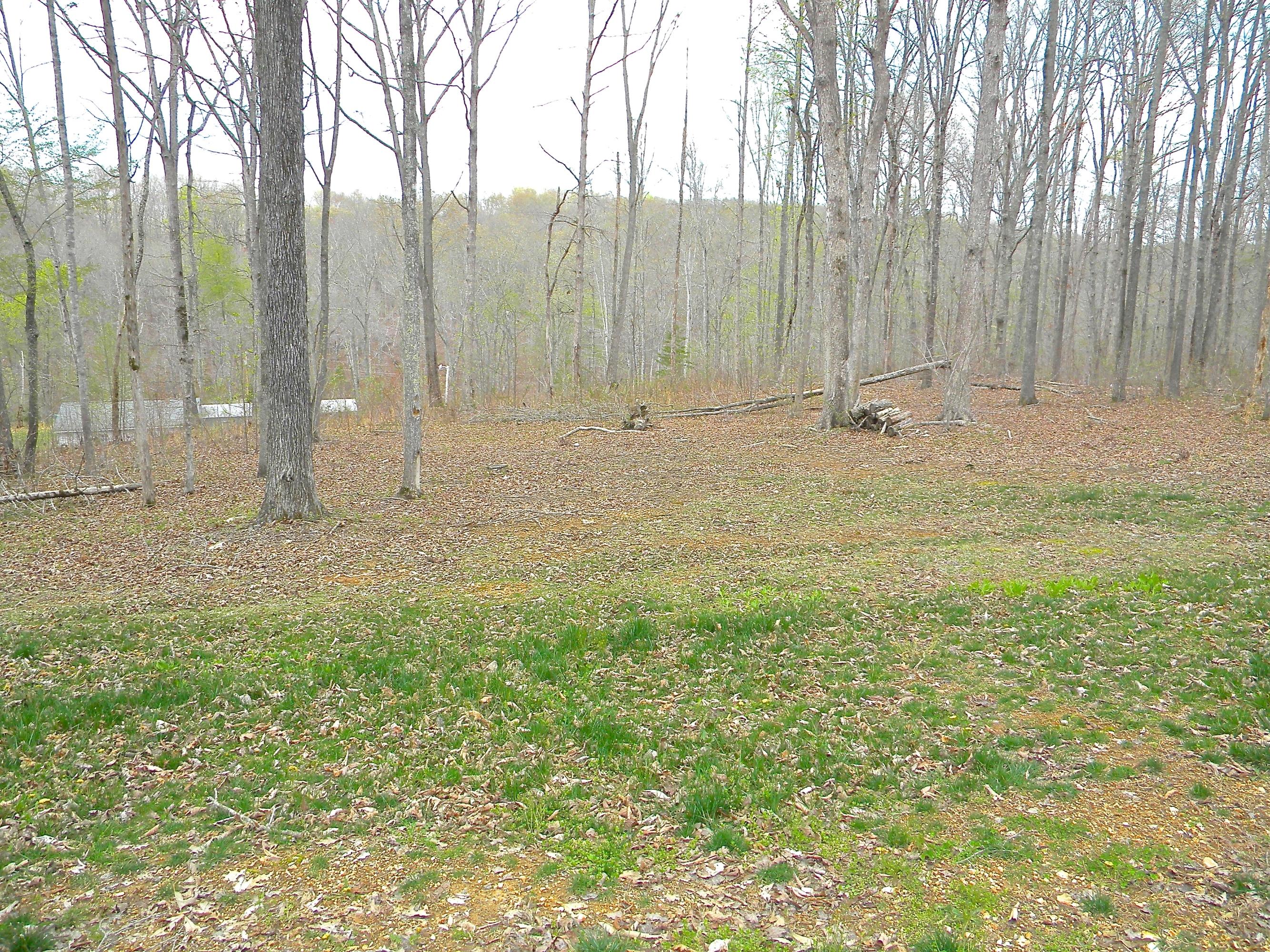 135 Griffith Point Kingston, TN 37763 - Photo 25 of 40 2014-04-08 02