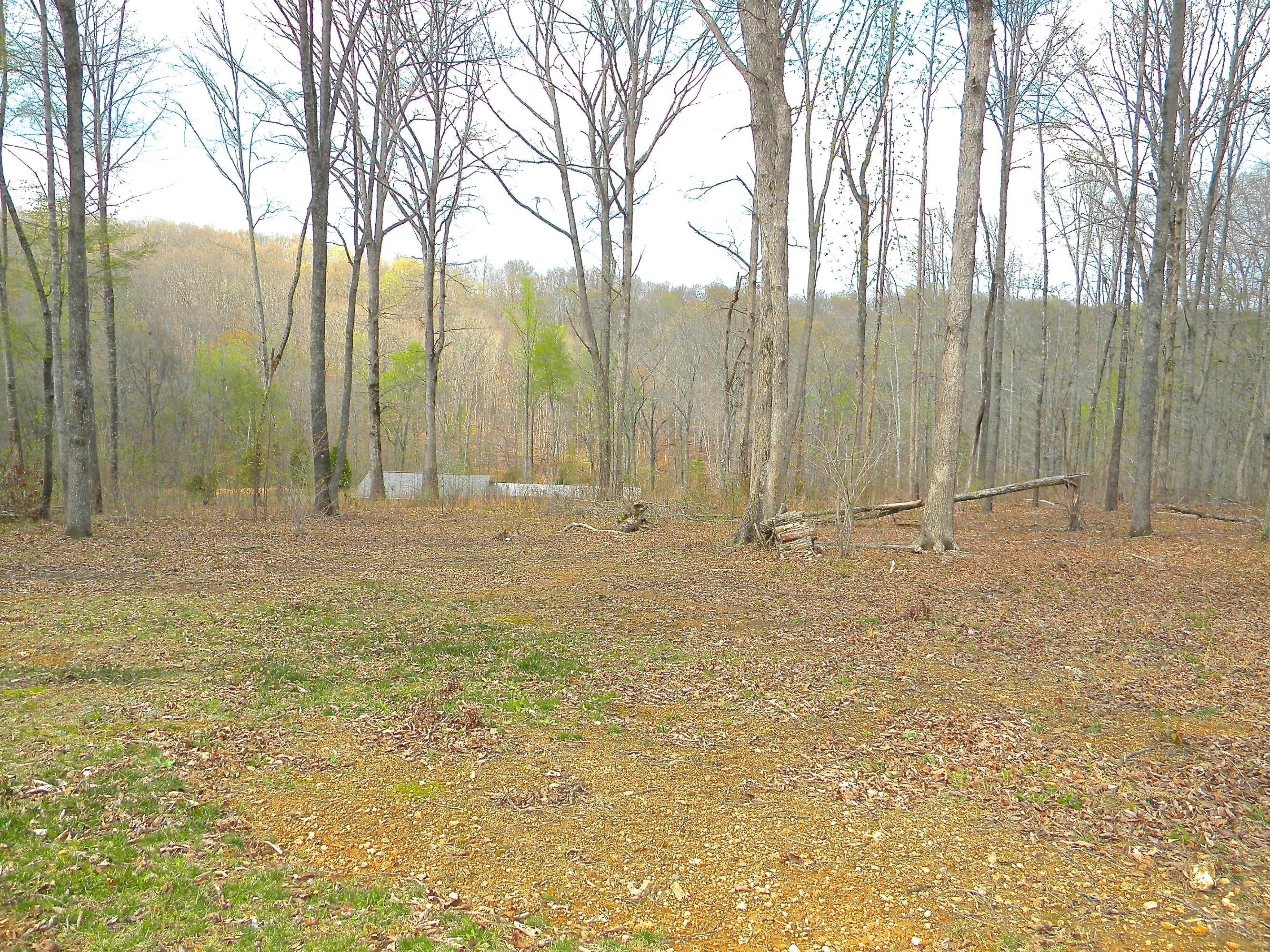 135 Griffith Point Kingston, TN 37763 - Photo 26 of 40 2014-04-08 03