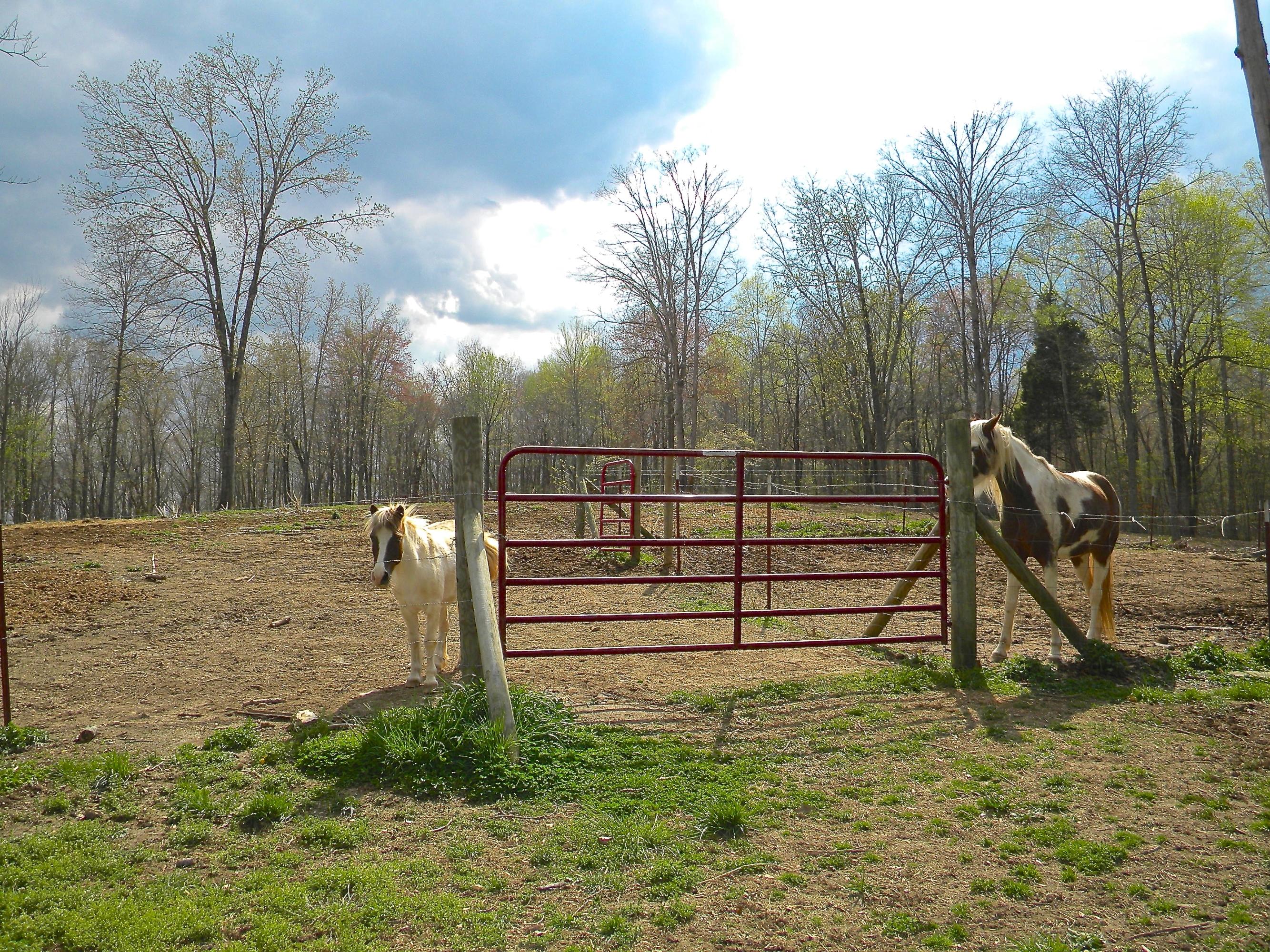 135 Griffith Point Kingston, TN 37763 - Photo 27 of 40 2014-04-08 03