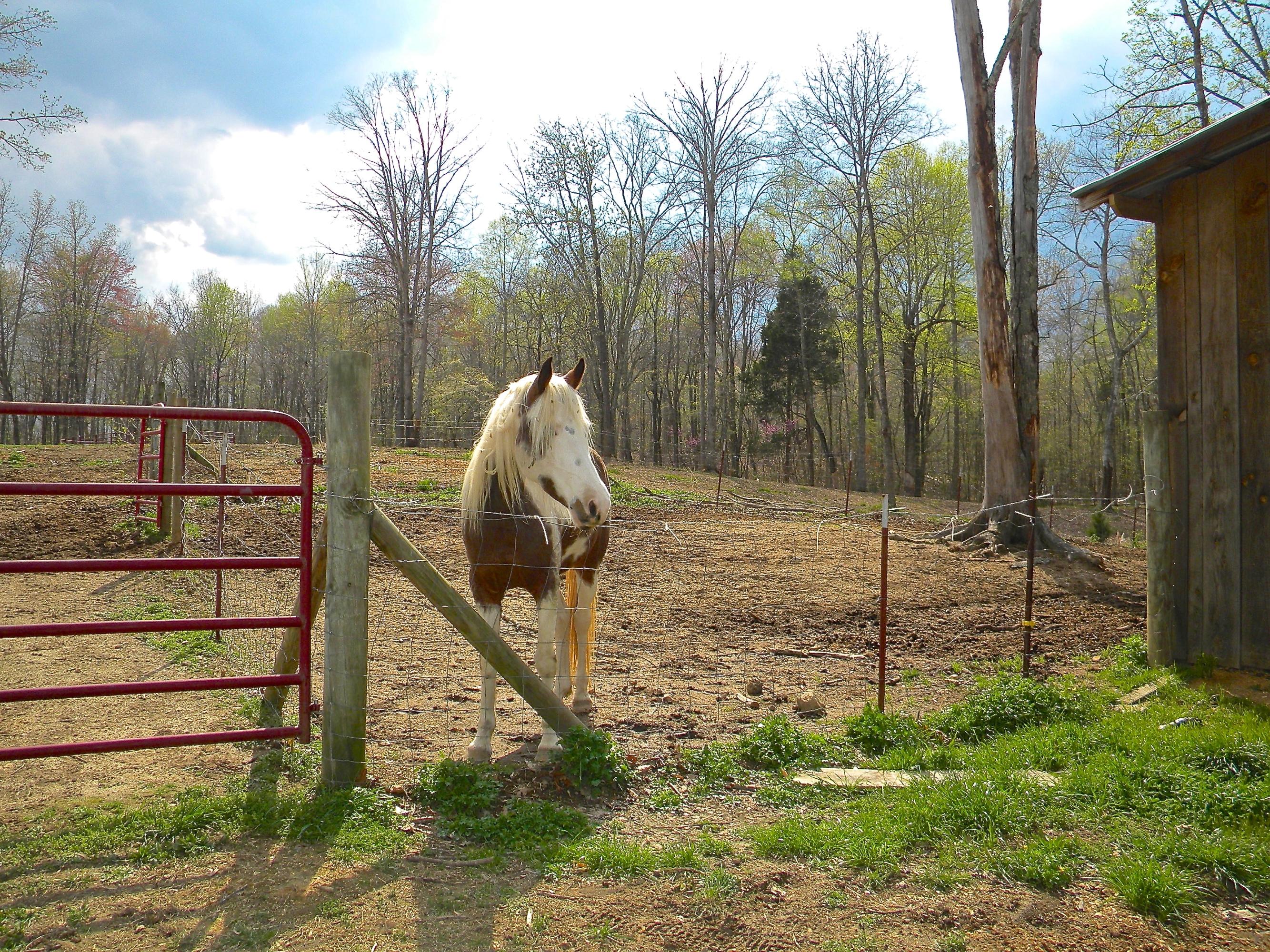 135 Griffith Point Kingston, TN 37763 - Photo 28 of 40 2014-04-08 03
