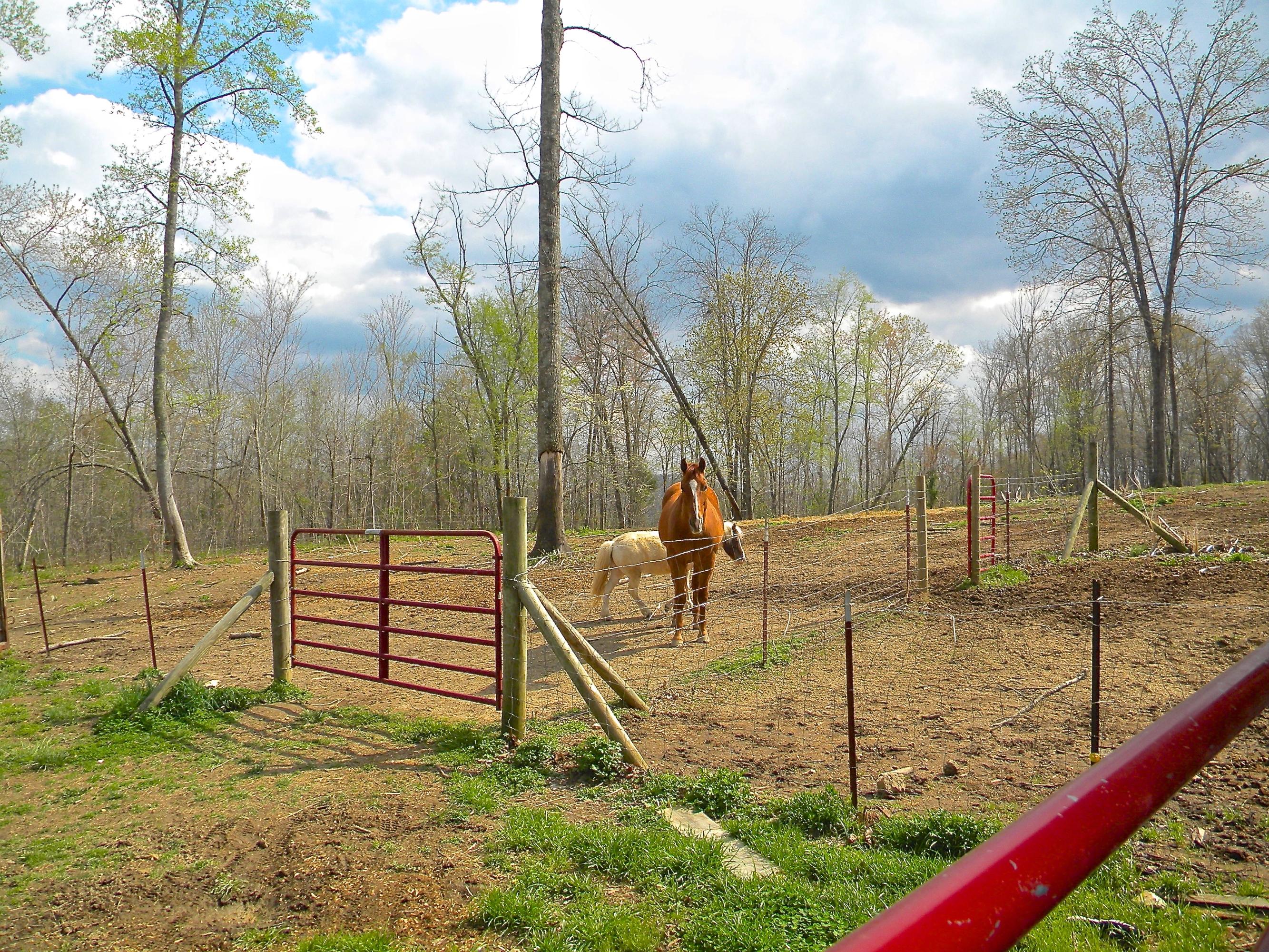 135 Griffith Point Kingston, TN 37763 - Photo 29 of 40 2014-04-08 03