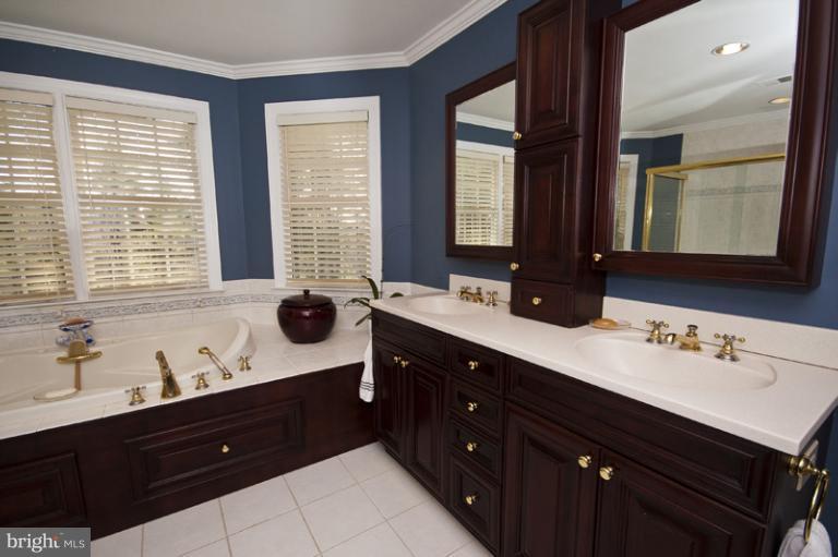 2160 Misty Meadow Road Finksburg, MD 21048 - Photo 17 of 30 Bath (Master)