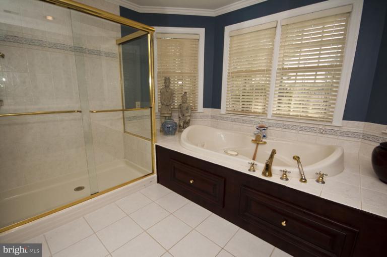 2160 Misty Meadow Road Finksburg, MD 21048 - Photo 7 of 30 Bath (Master)