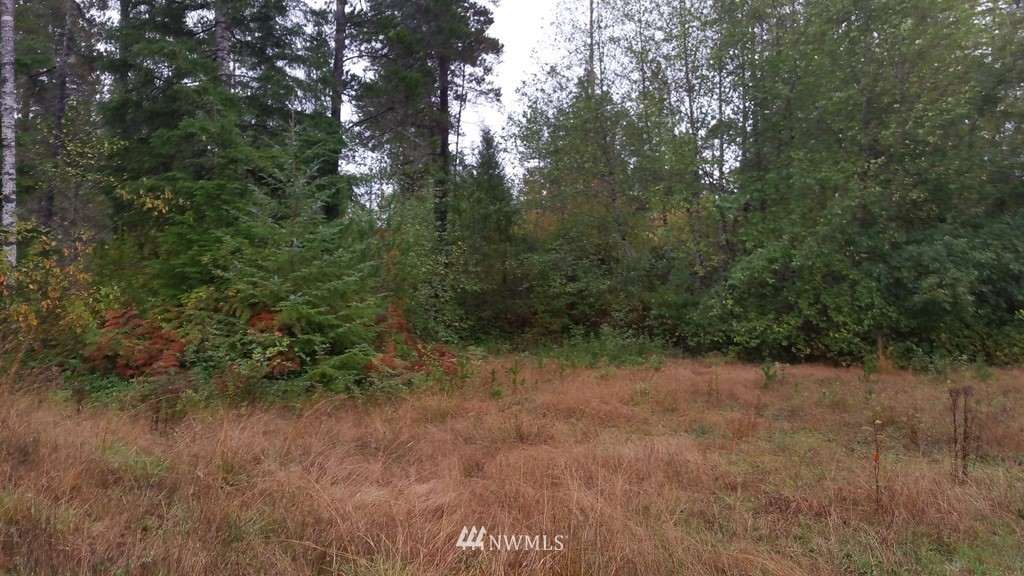 311 Bowes Road Hoquiam, WA 98550 - Photo 21 of 24 Gallery Image 21