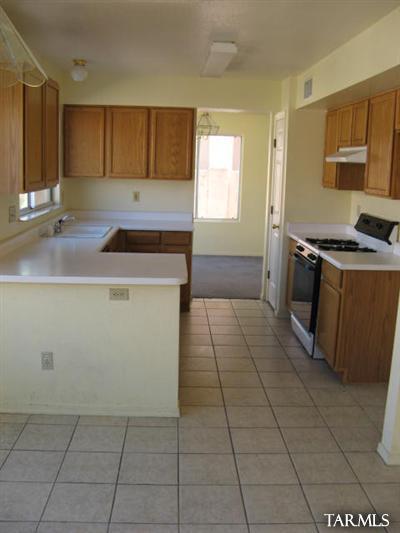 3040 West Sun Ranch Trail Tucson, AZ 85742 - Photo 3 of 11