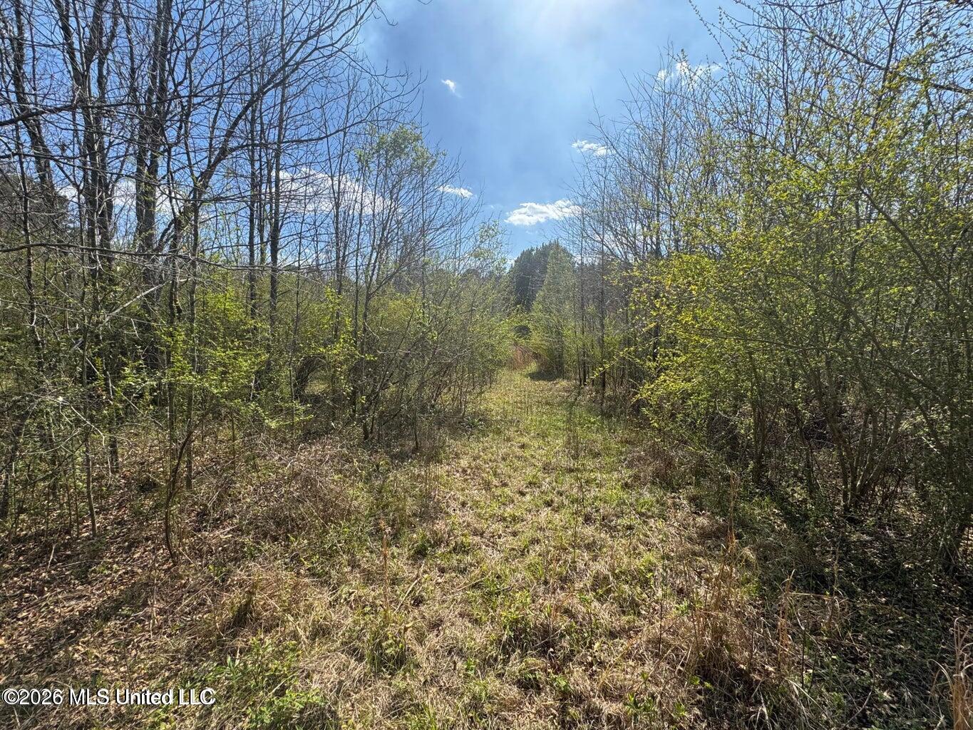 Well Street Wesson, MS 39191 - Photo 2 of 10 22 acres well pic 5