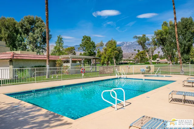 a yard with lots of trees and plants