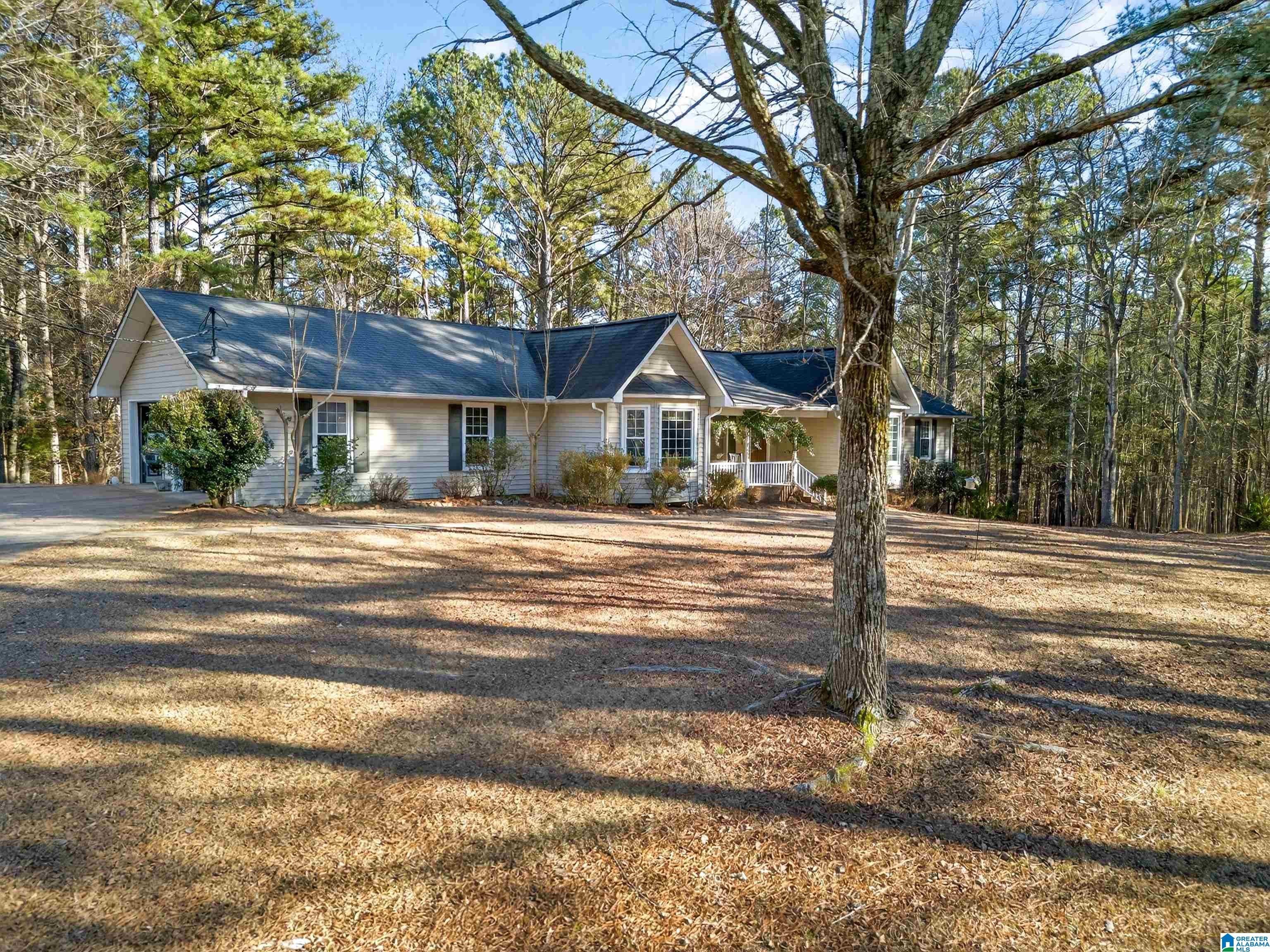 786 Aderholdt Mill Road Jacksonville, AL 36265 - Photo 3 of 38 Gallery Image 3
