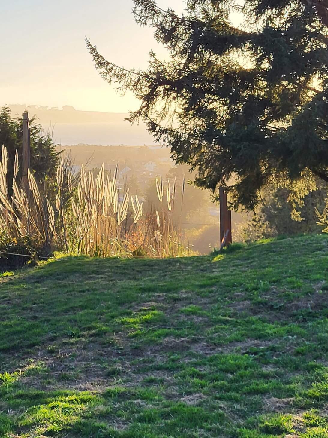 6498 Bell Terrace Road Eureka, CA 95503 - Photo 31 of 36