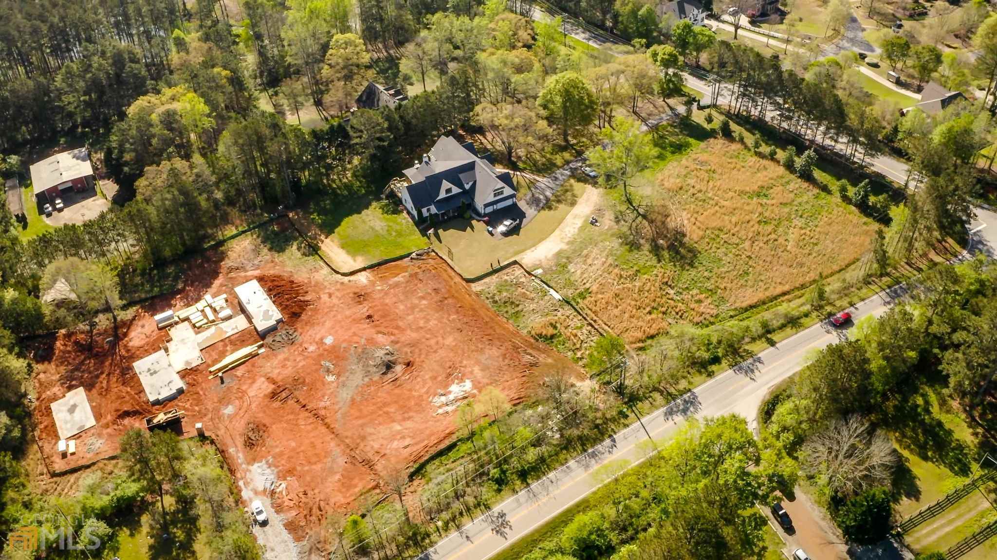 view of a tree with yard