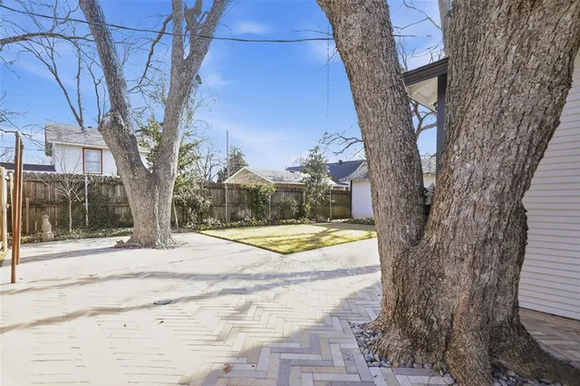 a view of a yard with plants and trees