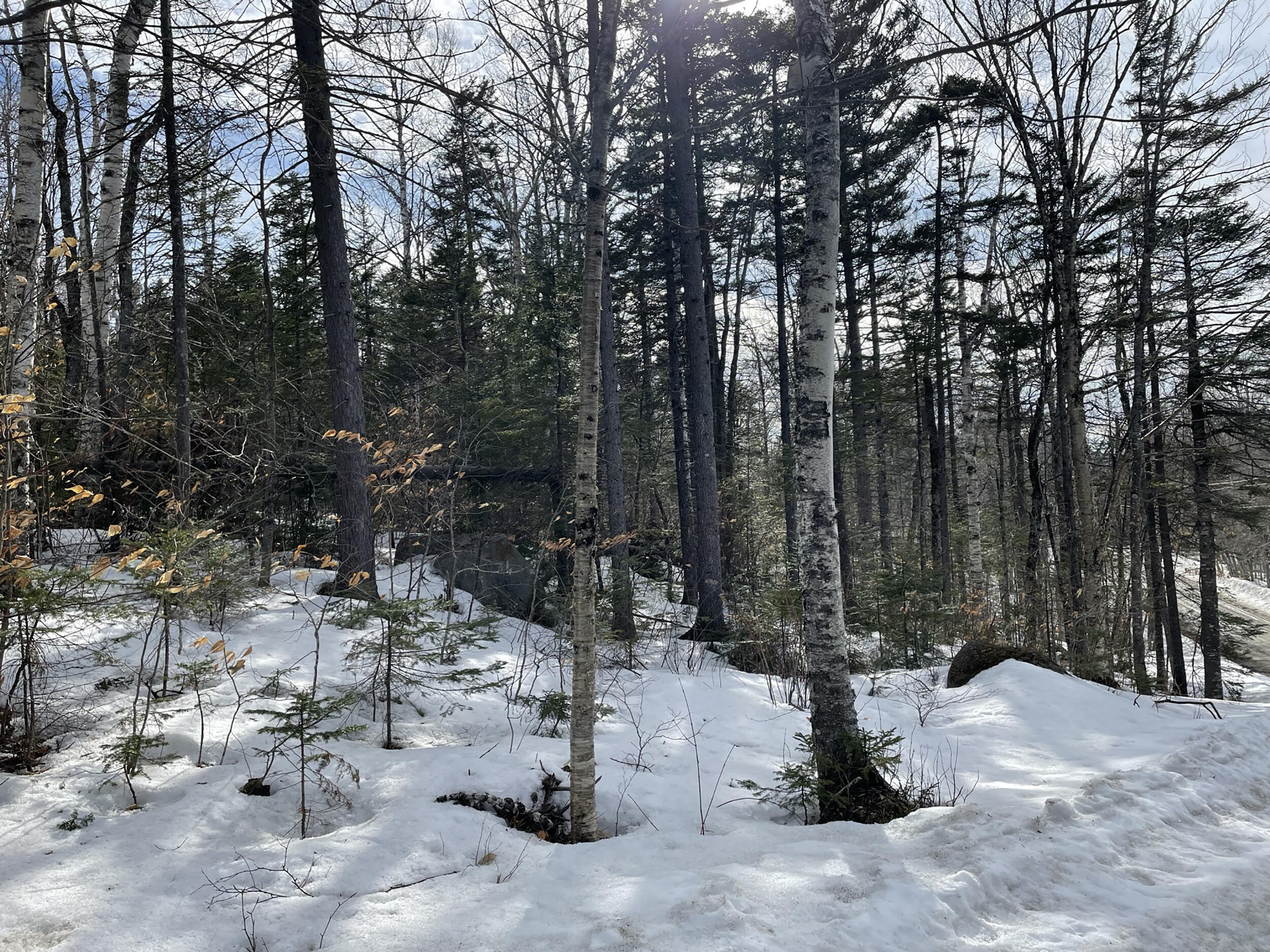 2030 Hillside Road Carrabassett Valley, ME 04947 - Photo 12 of 12 IMG_5587