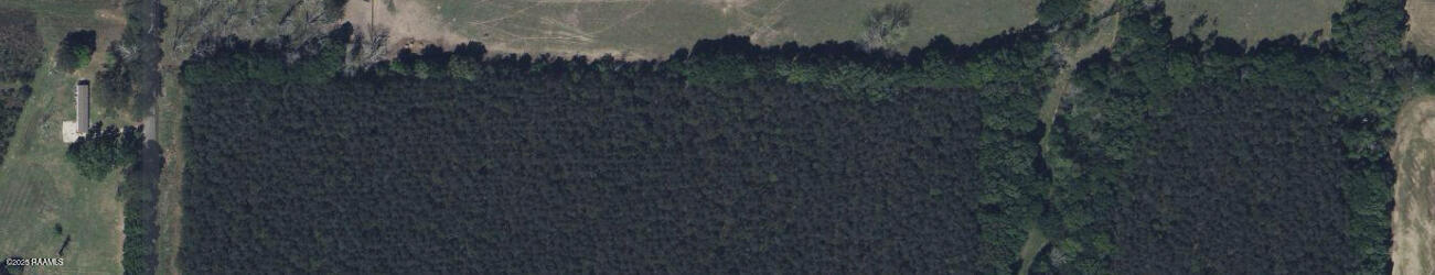 Tbd Jolene Road Basile, LA 70515 - Photo 12 of 14 IMG_1344