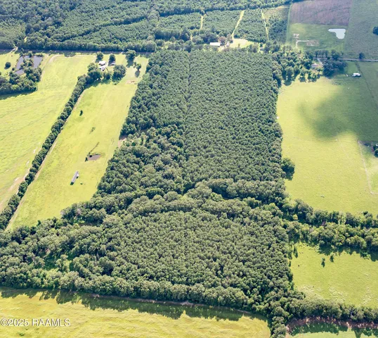 $55,000 | Tbd Jolene Road, Basile, LA 70515
