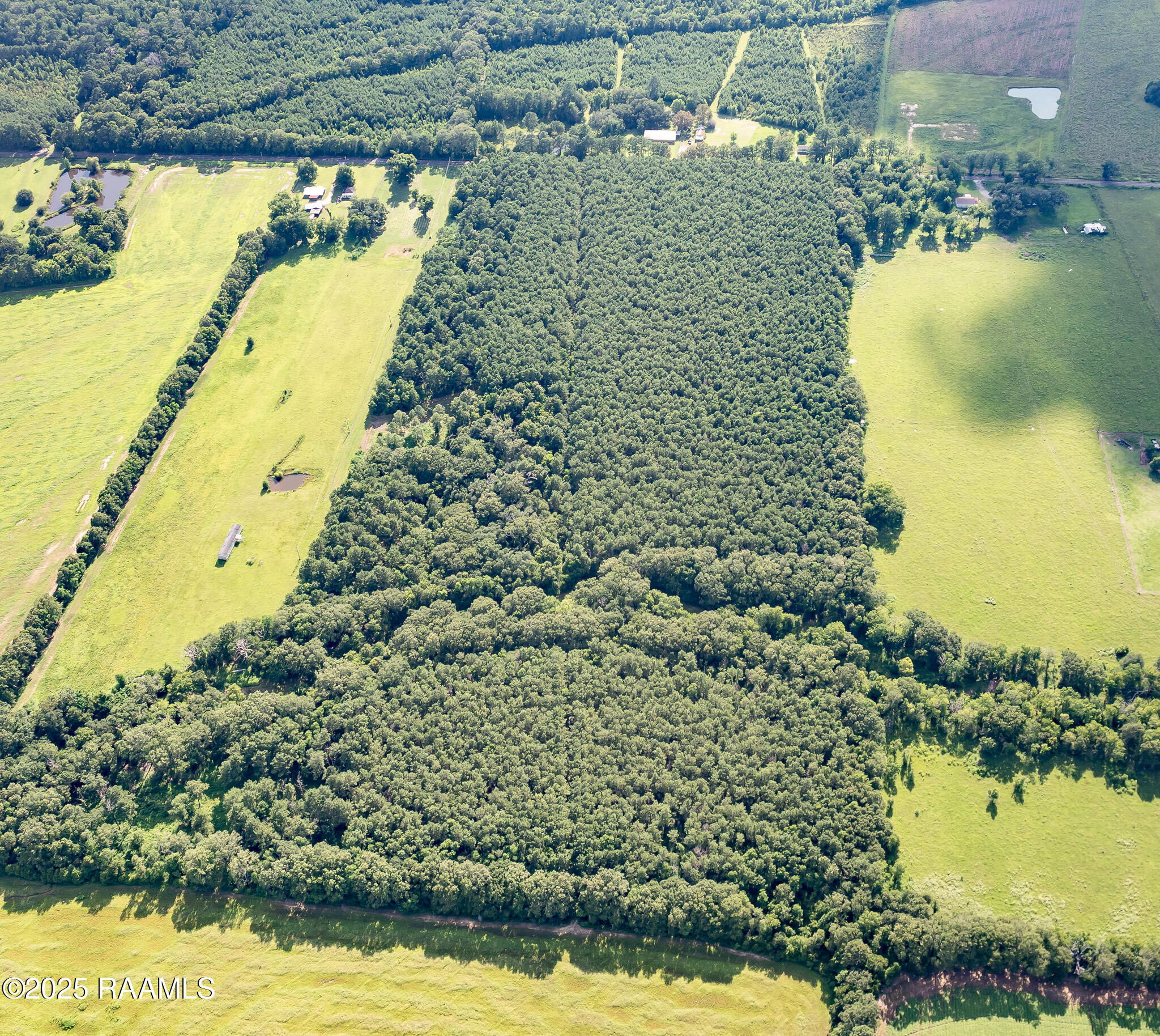 Tbd Jolene Road Basile, LA 70515 - Photo 14 of 14 DJI_0332